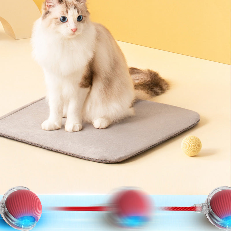 Textured Interactive Cat Play Ball, durable and engaging cat toy for hours of fun
