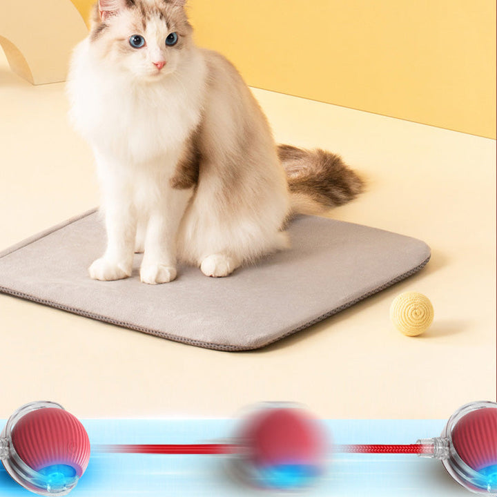Textured Interactive Cat Play Ball, durable and engaging cat toy for hours of fun