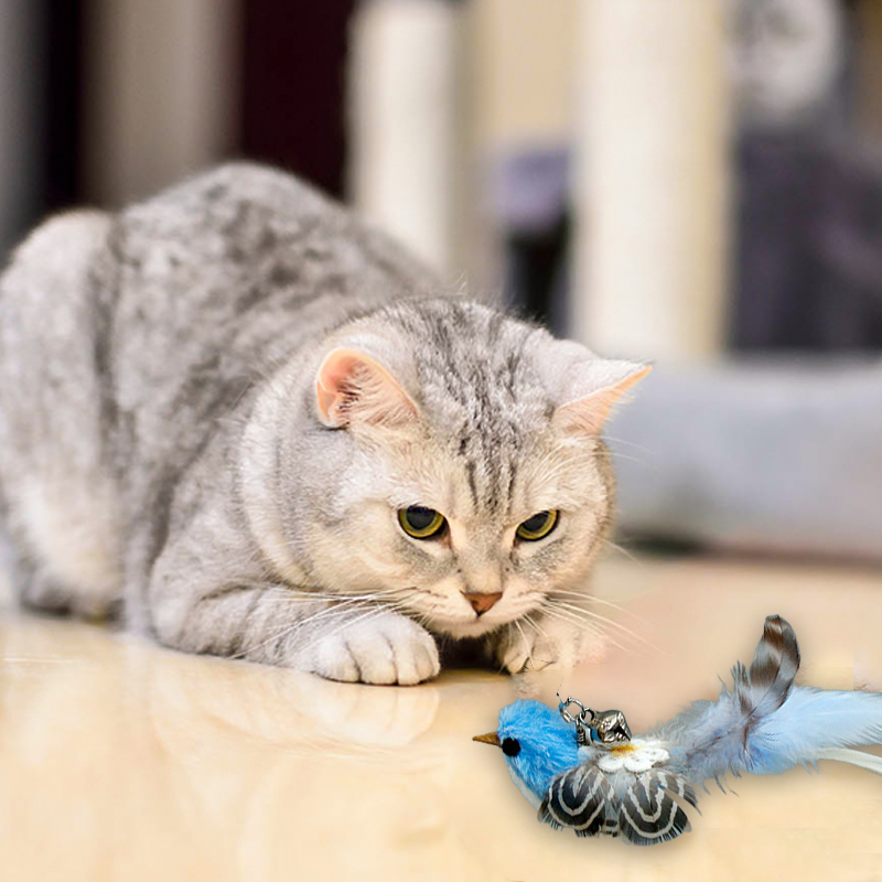 Close-up of the feathered bird attachment on an interactive cat wand toy, perfect for enrichment.