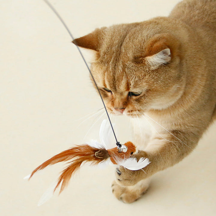 Cat enrichment: Feathered bird cat toy with suction cup for engaging and independent play.
