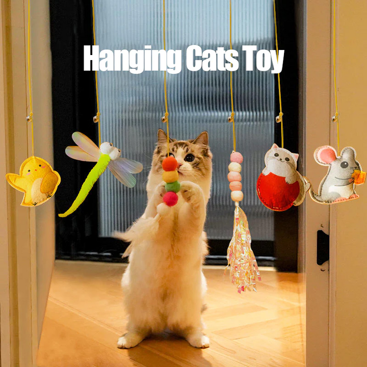 Interactive hanging cat toy on a doorframe, featuring a plush mouse with elastic string for feline play