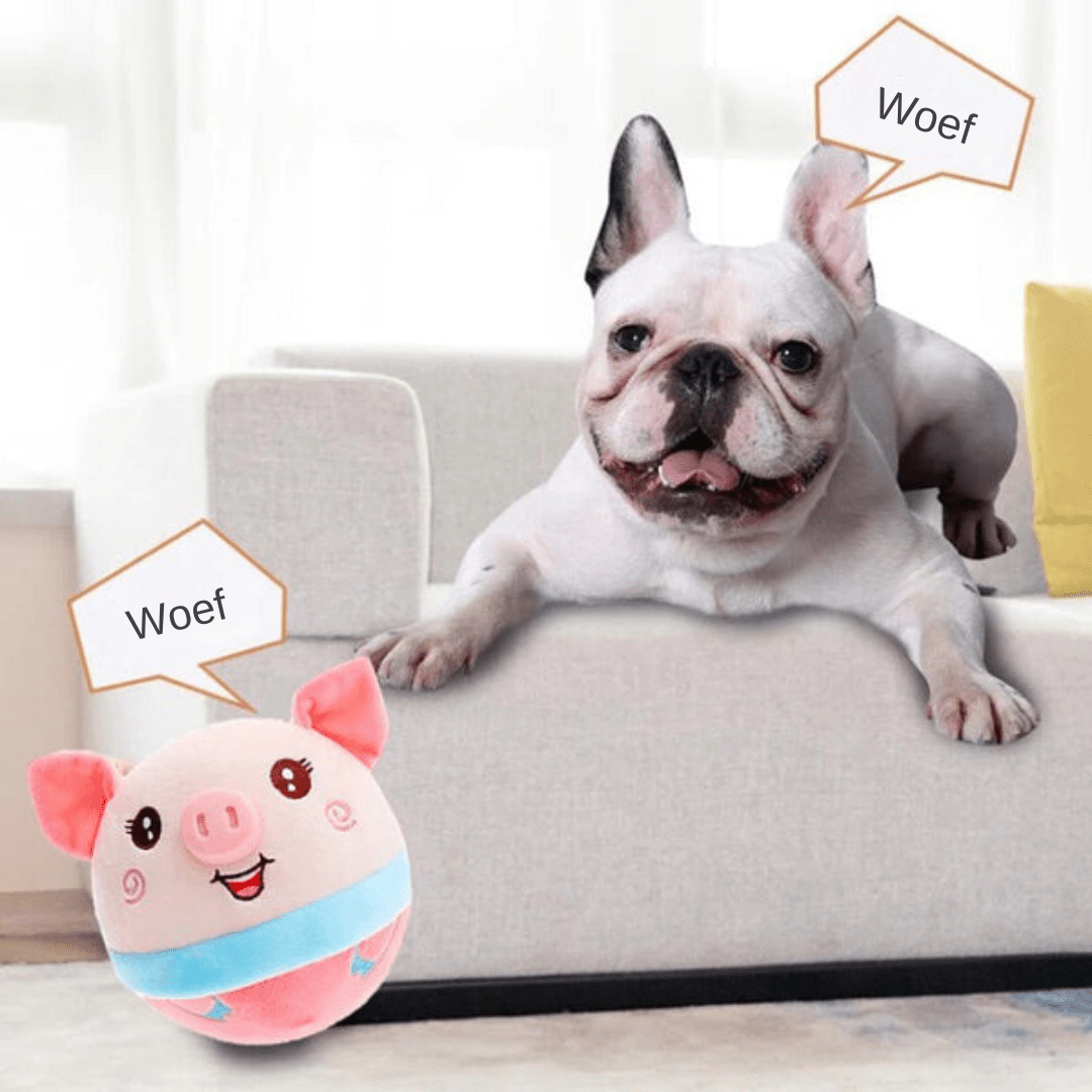 Smart automatic motion ball dog toy. Provides interactive play & enrichment for active and energetic dogs.