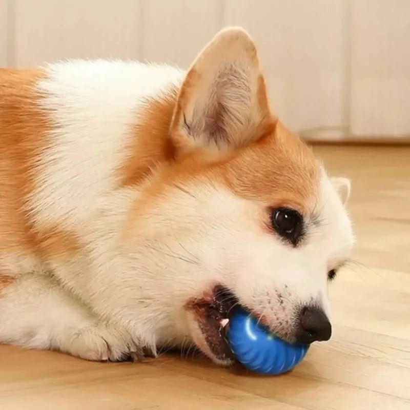 Smart automatic dog toy ball for puppies & active dogs, offering engaging playtime & mental stimulation.
