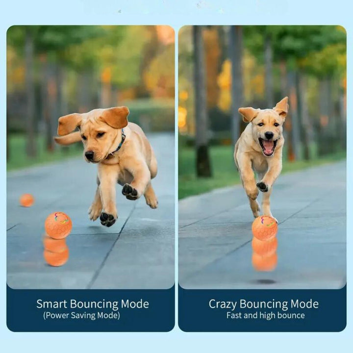 SmartBounce dog toy ball, durable & active entertainment for your pet.