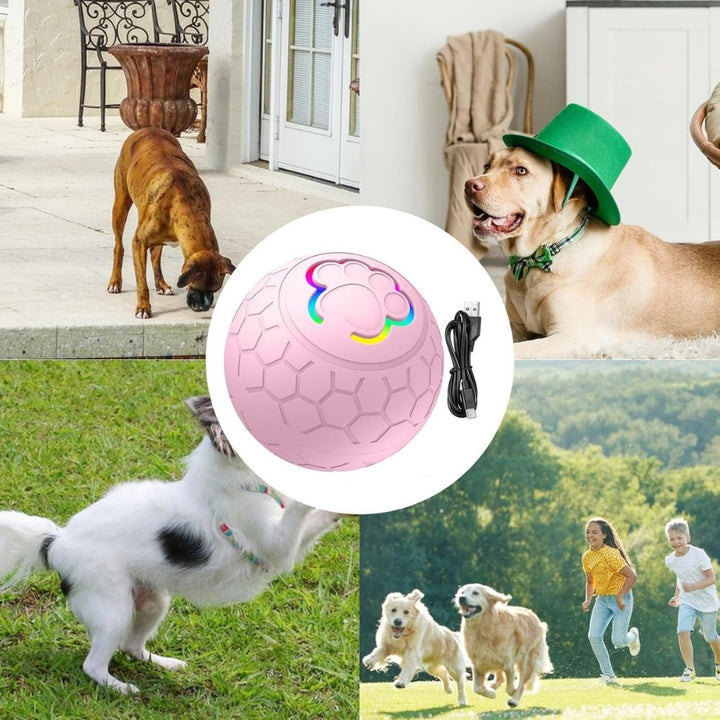 Green SmartBounce pet ball, a waterproof & chew-resistant puppy toy.