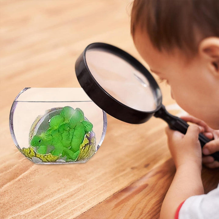 Dinosaur hatching egg set with multiple colors, engaging children's educational toys