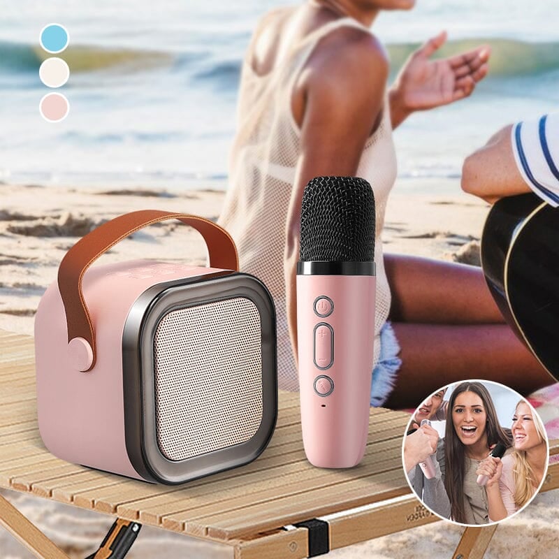 Children's entertainment system: mini karaoke machine with wireless microphones.
