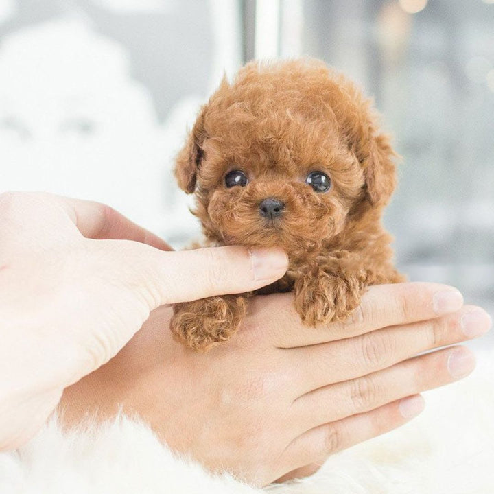 Fun interactive puppy robot, a realistic robotic pet toy for kids, exciting electronic dog companion.