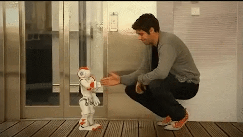Kids' STEM robot toy, interactive and controlled by gestures for skill development and fun.