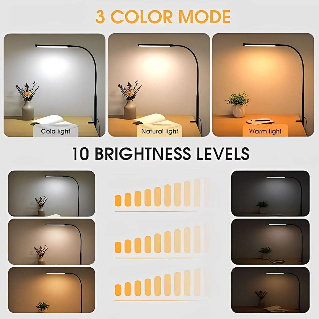 Unisex LED desk lamp featuring flexible gooseneck & 3 adjustable color modes. Great for study & work.