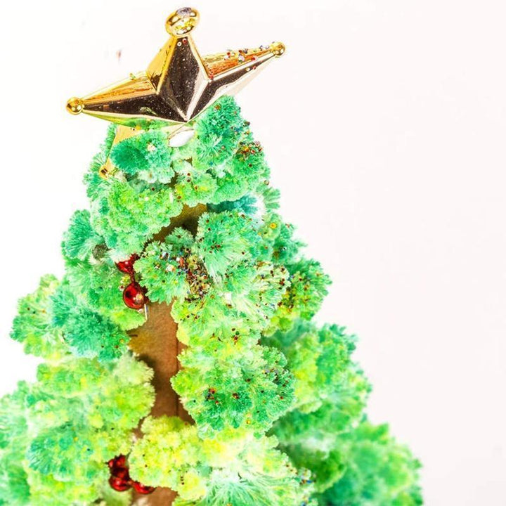 Instruction manual included with Magic Growing Crystal Tree Kit for easy DIY assembly