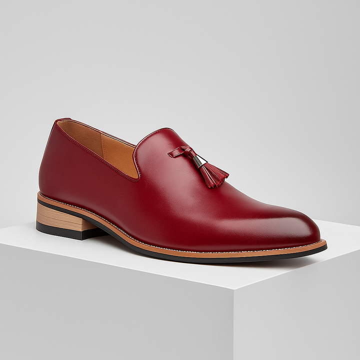 Formal yet casual men's loafers, featuring classic design, leather construction, and stylish tassels.
