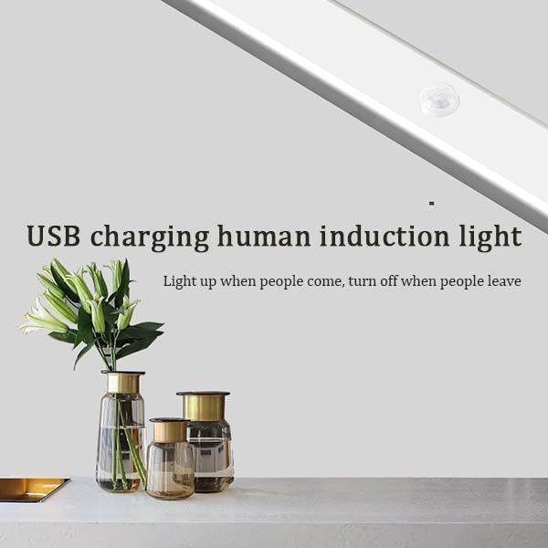 Compact motion sensor LED light, provides convenient hands-free lighting for closets