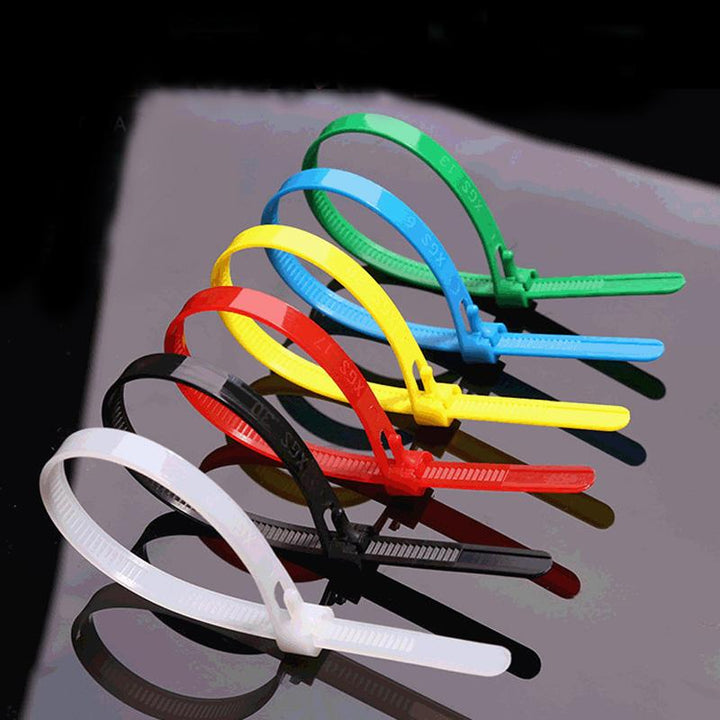 Multi-color reusable nylon cable ties, 100-pack for home & garden organization