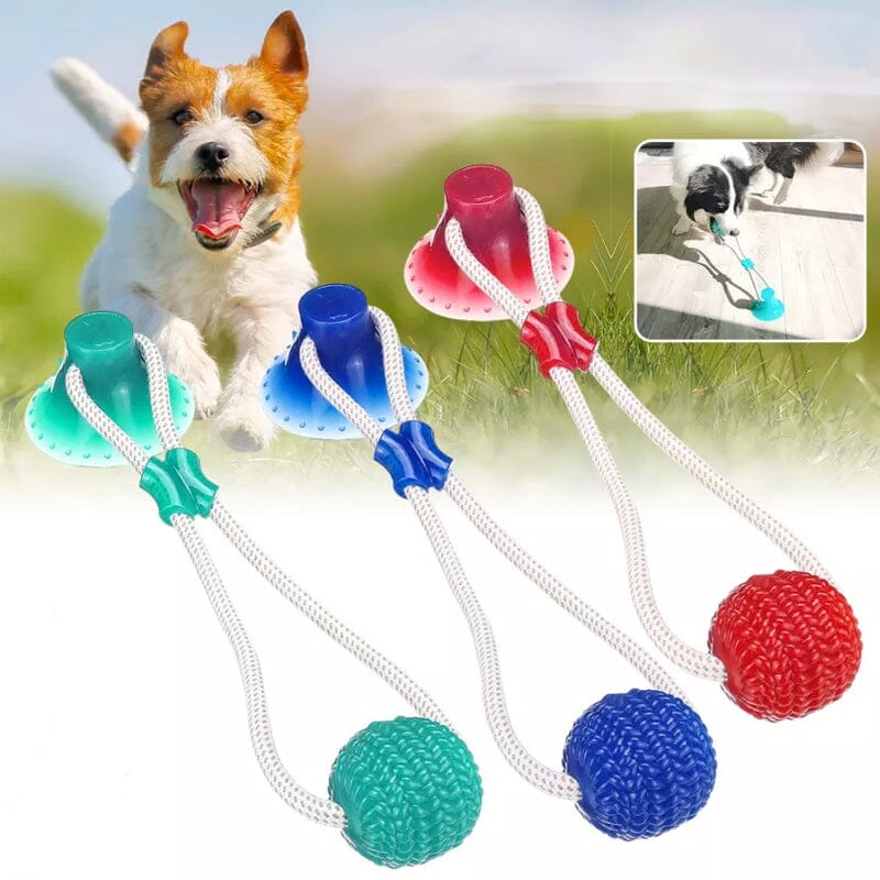 Multifunction Pet Chew Toy for Dogs, durable TPR dog molar with suction cup, pet supplies