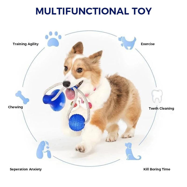 Purple Multifunction Pet Chew Toy, suction cup base, ideal for dog enrichment & dental health