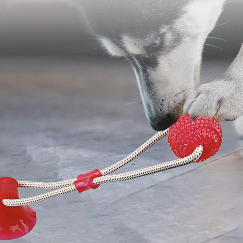 Multipurpose dog dental toy, robust TPR for tugging and chewing, promotes oral hygiene