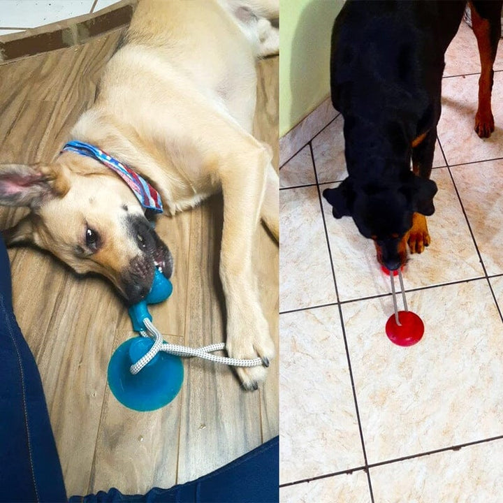 Interactive pet toy for dogs, suction cup design, provides mental stimulation & dental benefits