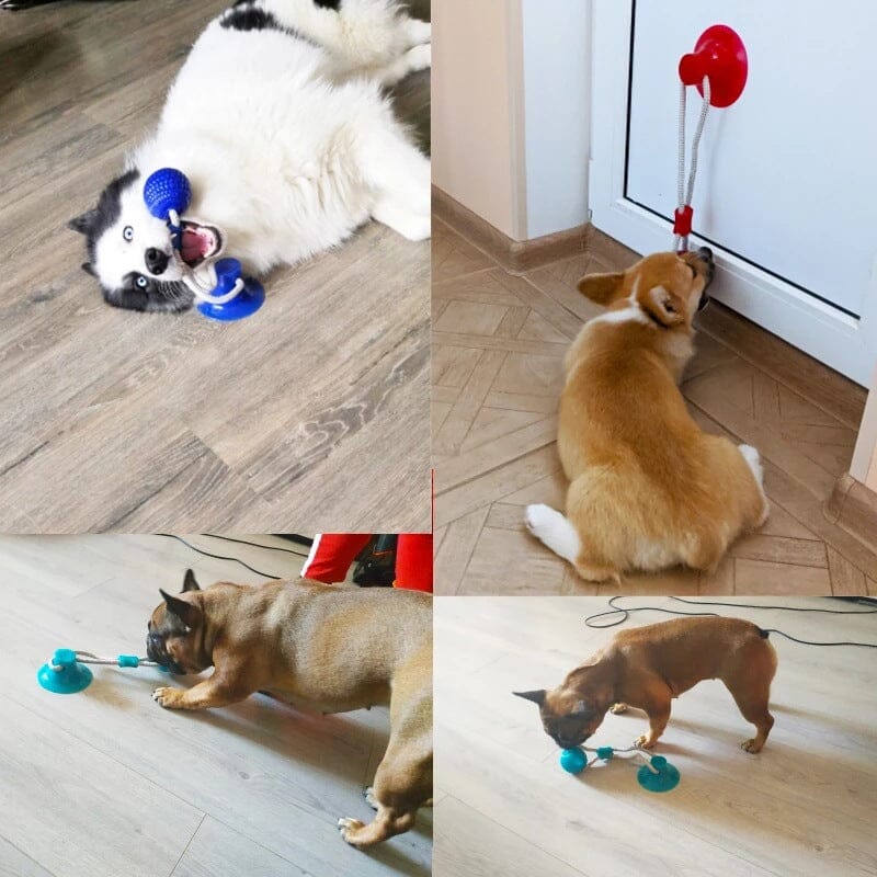 Close-up of Multifunction Dog Chew Toy, textured TPR for effective teeth cleaning, pet supplies