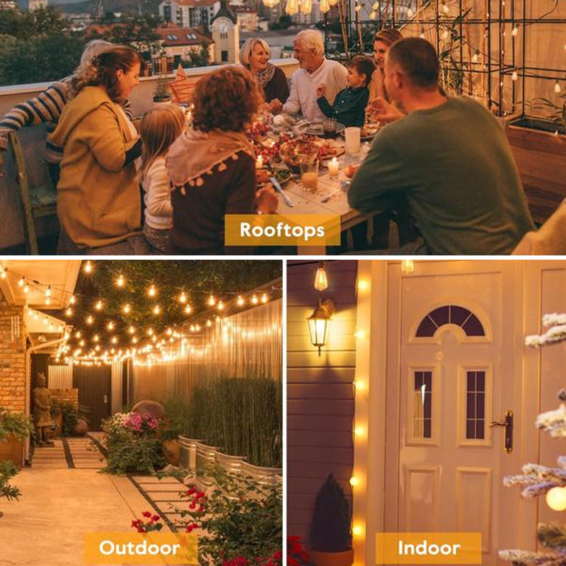 Dimmable outdoor LED string lights, creating cozy ambiance for evening events