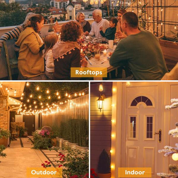 Dimmable outdoor LED string lights, creating cozy ambiance for evening events