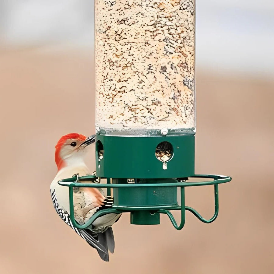 Hanging bird feeder, squirrel-resistant design, perfect for attracting wild birds for garden bird watching and decor.