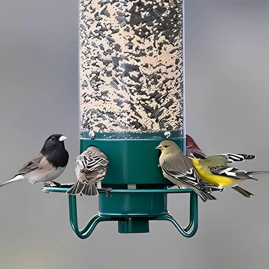 Metal and polycarbonate hanging bird feeder, squirrel-resistant, for outdoor garden and yard bird feeding.