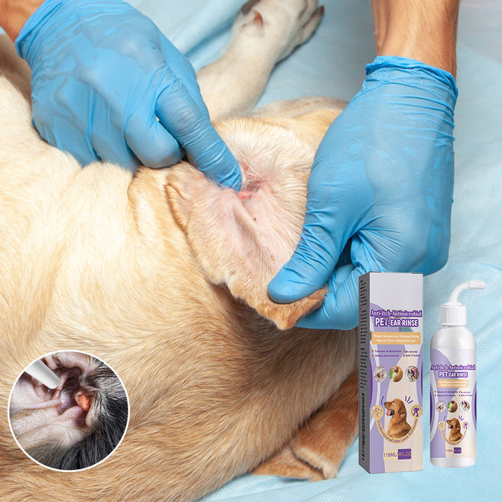 Grooming kit including the pet ear cleansing solution, ear wipes, and cotton balls for pet hygiene