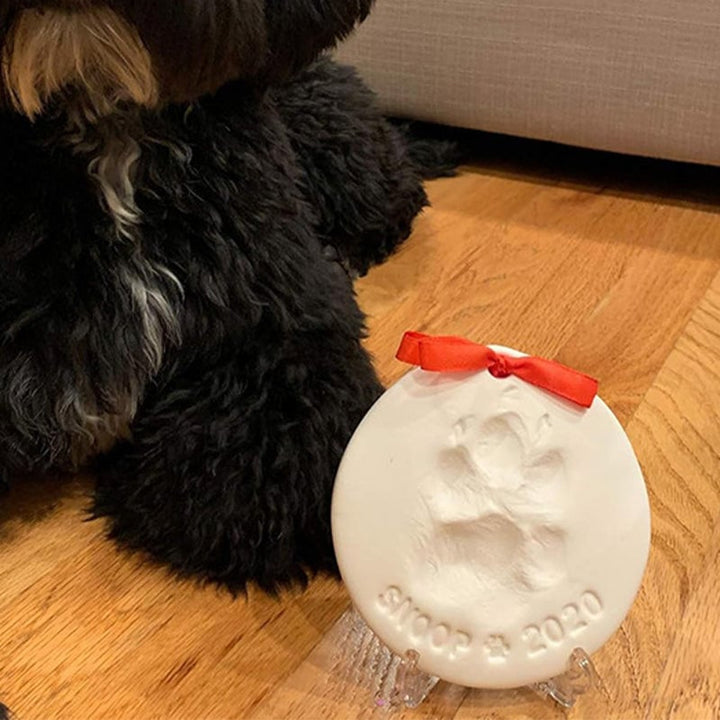 A dog's paw gently pressed into the soft clay provided in the impression keepsake kit