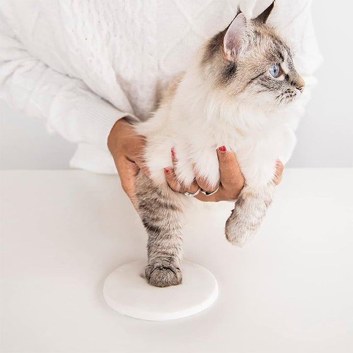 Close-up of a human hand guiding a pet's paw onto the clay for an impression kit