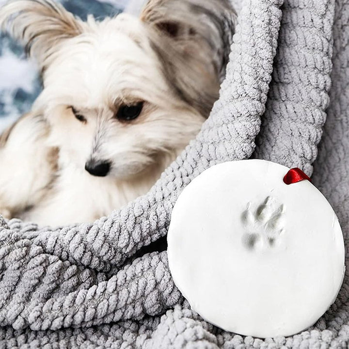Various tools included in the pet paw impression kit: clay, roller, and shaping ring