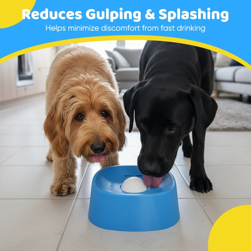 Dog drinking from a slow feeder water bowl, promoting healthier hydration, BPA-free