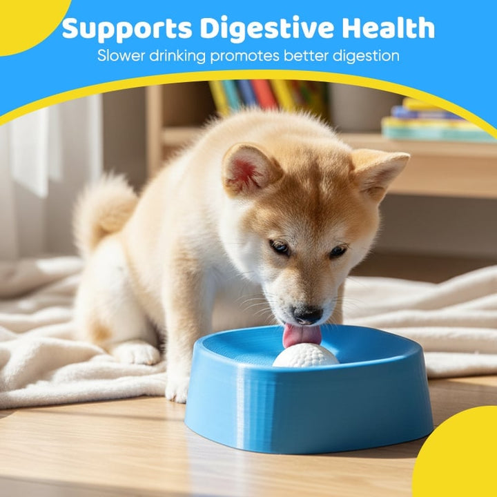 Silicone dog drinking bowl with anti-gulping features for improved pet hydration