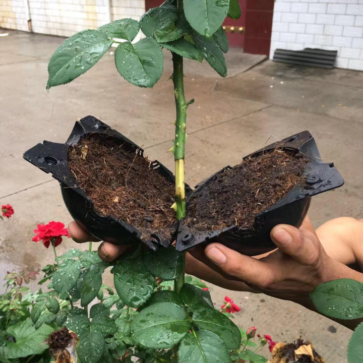 Plant propagation pod for air layering, garden tool for plant rooting and seedling care