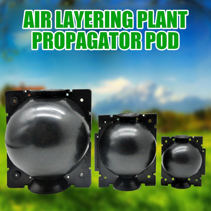 Air layering propagation pod attached to a plant branch, aiding plant care and rooting