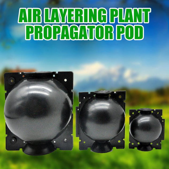 Air layering propagation pod attached to a plant branch, aiding plant care and rooting