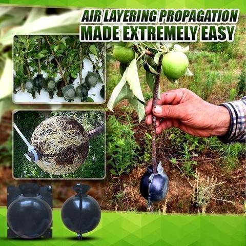 Set of plant propagation pods, essential garden tools for effective air layering