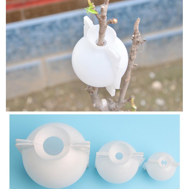 Gardener demonstrating usage of a plant propagation pod for air layering technique