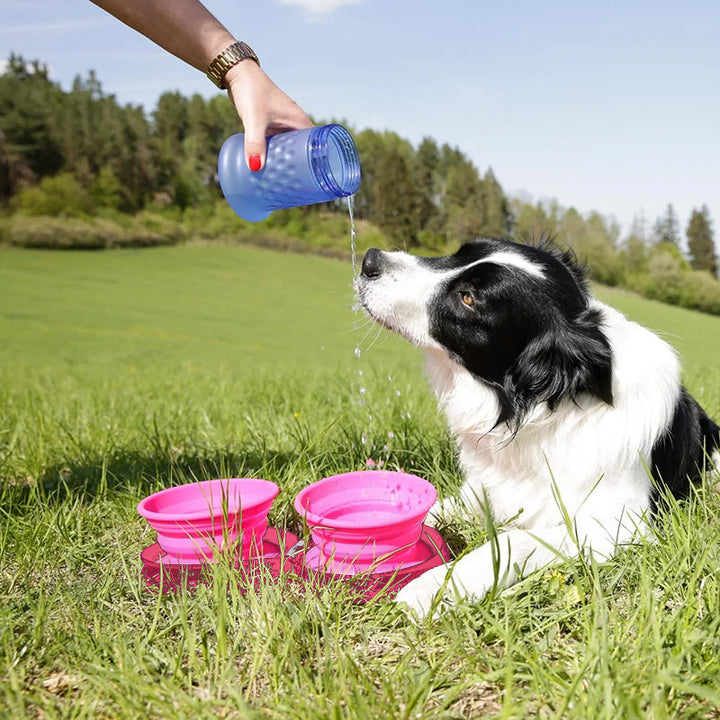 Portable pet travel diner set in a car, securely placed for on-the-go feeding and hydration