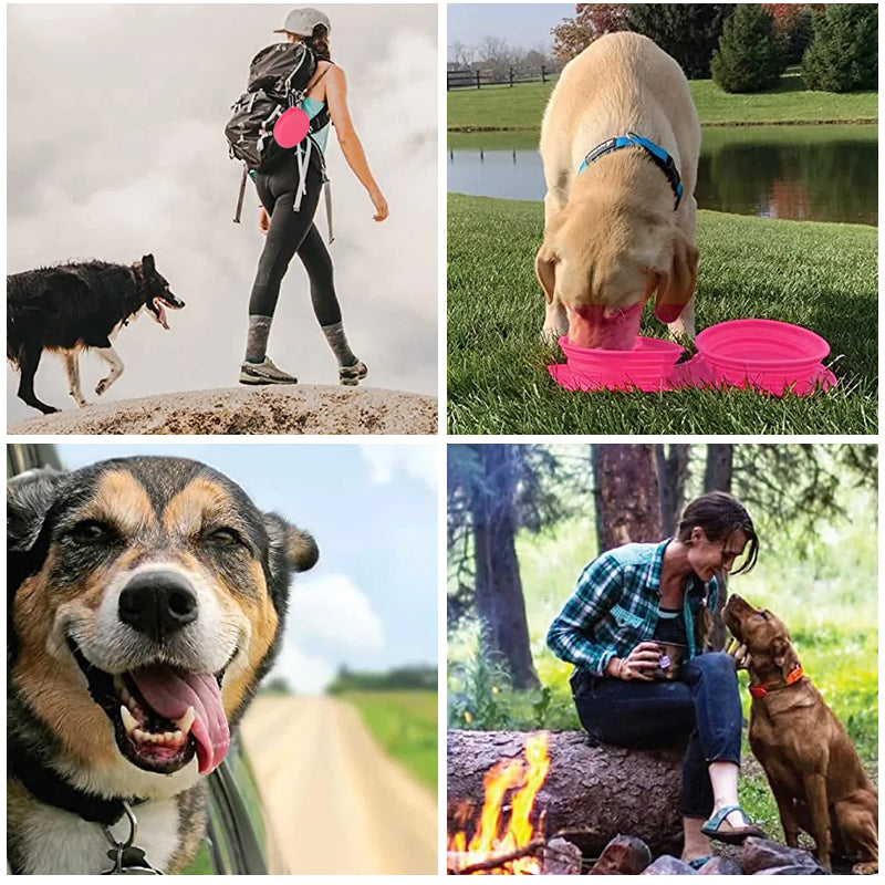 Dog drinking water from the portable blue silicone travel bowl, set on green grass outdoors
