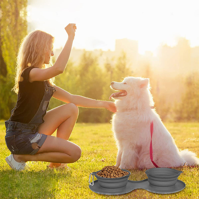 Cat eating from the portable blue silicone food bowl, showing pet-friendly design