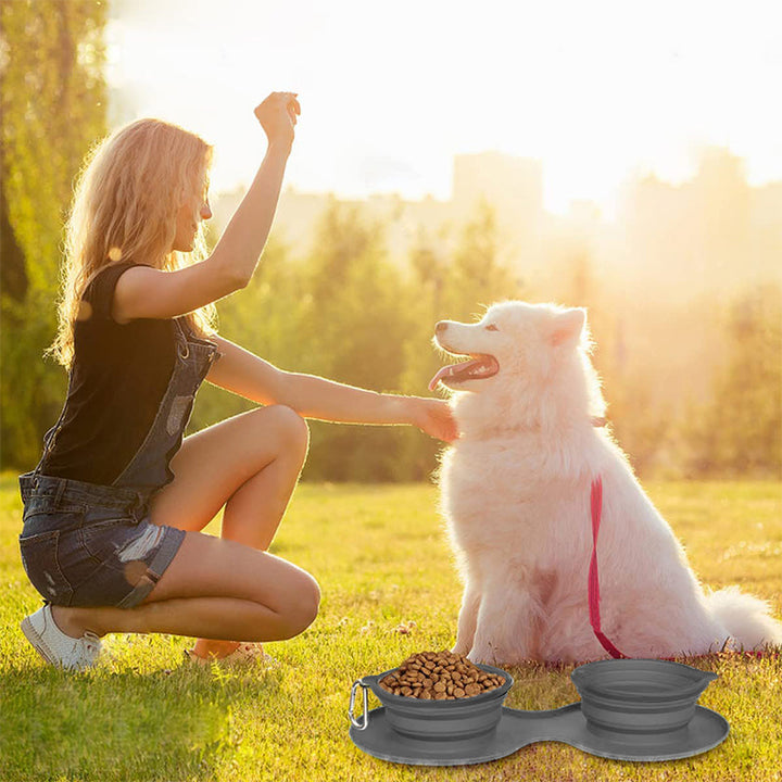 Cat eating from the portable blue silicone food bowl, showing pet-friendly design