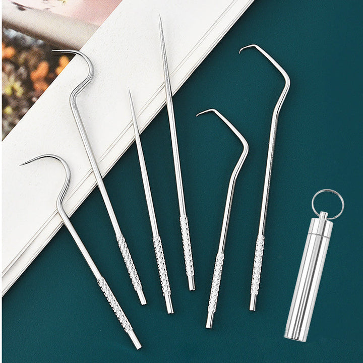 Durable stainless steel toothpick set for effective oral hygiene, a must-have portable dental tool.