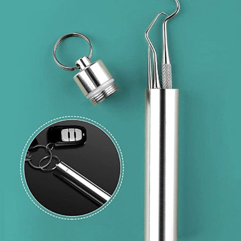 Collection of stainless steel toothpicks in a pocket-sized container, ideal for discreet oral hygiene.