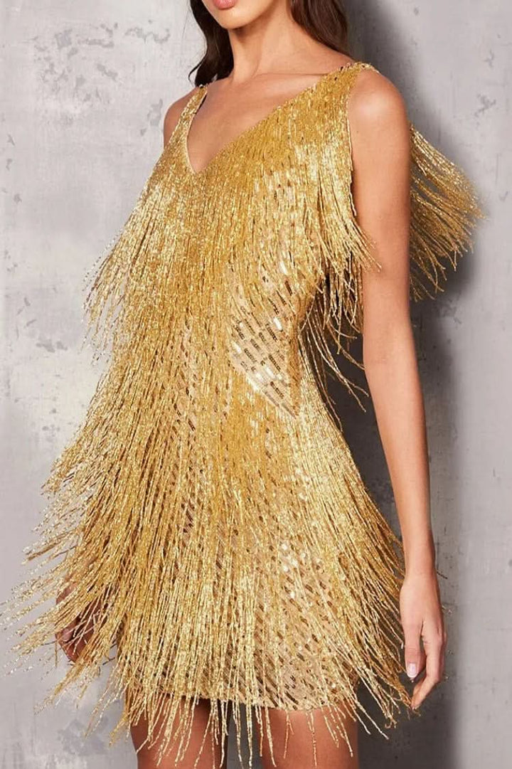 Stylish women's radiant A-line dress featuring playful fringe. A chic statement for any special occasion party.
