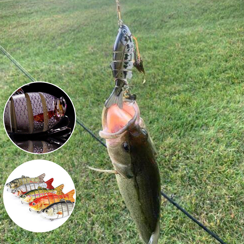 Variety of fishing swimbaits, each lure designed for realistic movement to attract predator fish.
