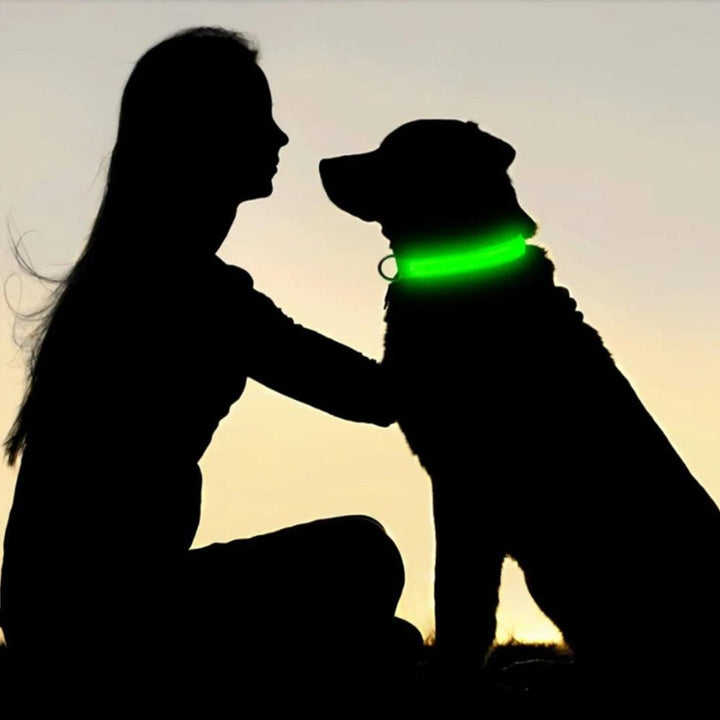Waterproof AirTag dog collar, highly reflective and illuminated for secure pet tracking at night.