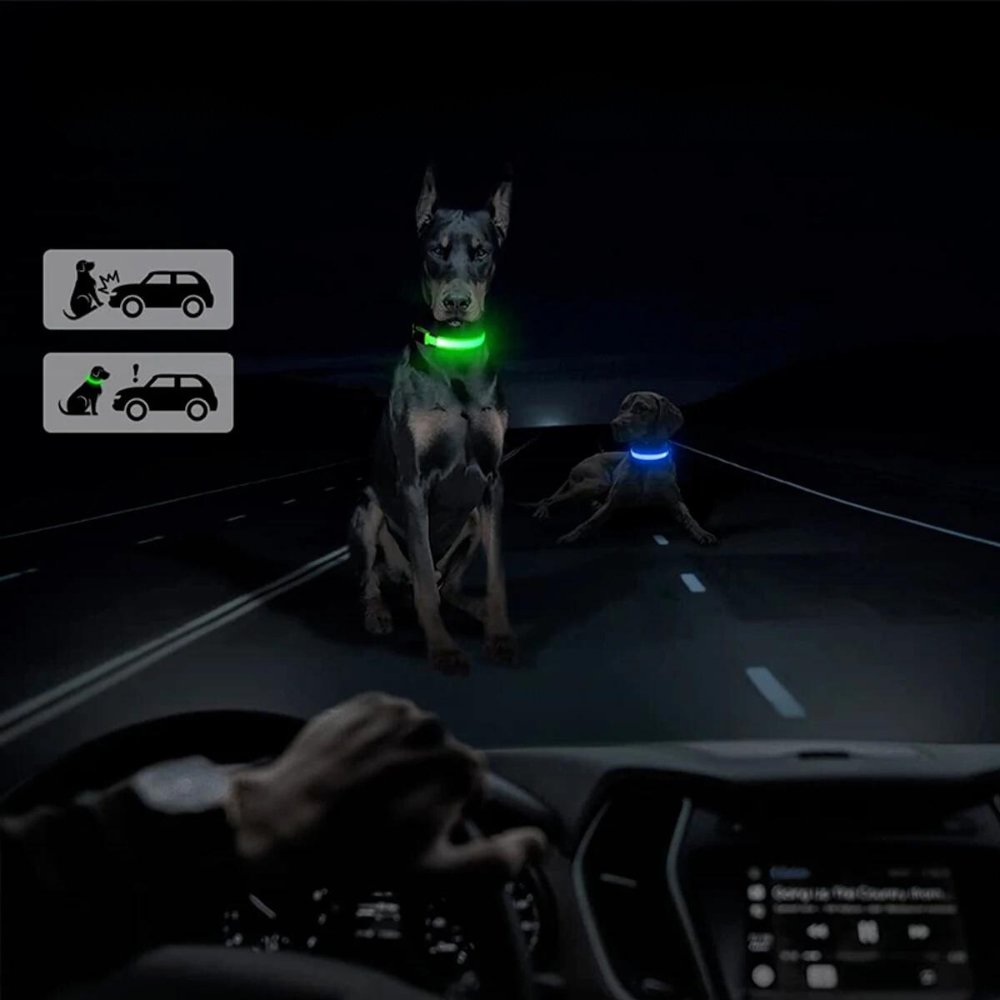 Illuminated dog collar with secure AirTag tracker pouch. Reflective for ultimate night pet safety.