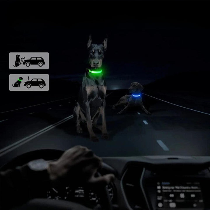 Illuminated dog collar with secure AirTag tracker pouch. Reflective for ultimate night pet safety.