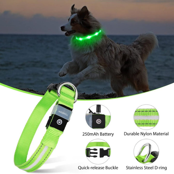 High visibility pet safety collar: Reflective, LED light-up, & built-in AirTag tracker pouch.